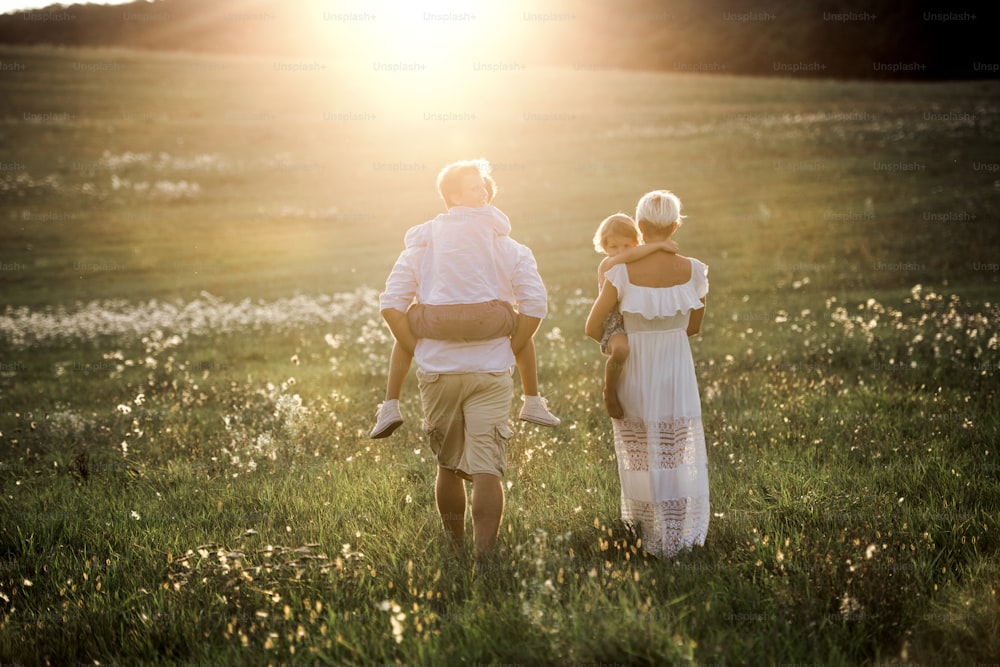 Eine Rückansicht einer jungen Familie mit kleinen Kindern, die bei Sonnenuntergang in der Sommernatur auf einer Wiese spazieren gehen.