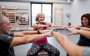 A group of cheerful seniors in gym doing exercise on fit balls, stretching arms.