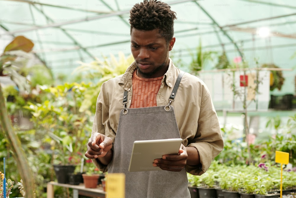 온실에서 식물의 이름을 알기 위해 디지털 태블릿에서 인터넷을 탐색하는 아프리카 남성 노동자