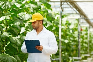 Young man in agroengineering uniform writing down characteristics of new sorts of cucumbers