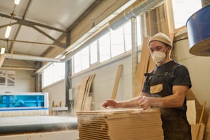 Jovem carpinteiro em máscara de proteção colocando tábuas de madeira finas na pilha durante seu trabalho na fábrica de móveis