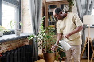 Retired African American man in home wear watering and loosening soil in flowerpot with green domestic plant in living room or bedroom
