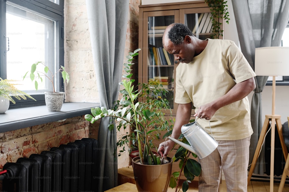 Homem afro-americano aposentado em casa desgaste regando e soltura do solo no vaso de flores com planta doméstica verde na sala de estar ou no quarto