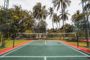 Vista frontale grandangolare di un accogliente campo da badminton in una giornata estiva: campo rosso e verde con marcatura a terra, palme multiple, alberi di illuminazione sui lati