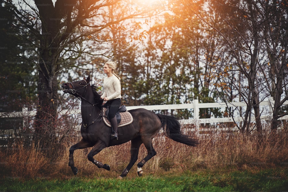 Mujer joven en equipo de montar galopando su caballo castaño a través de un campo rural en otoño