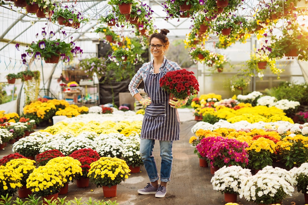 Gorgeous smiling young florist girl with eyeglasses standing in the greenhouse full of flowers while holding the flowerpot and looking at the camera.