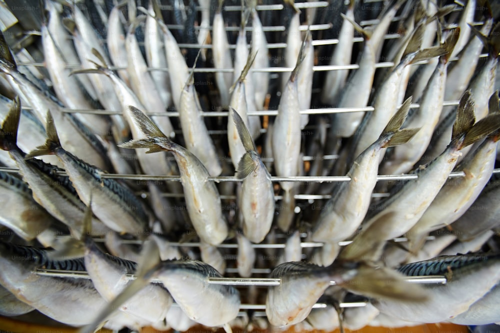 Overview of fresh herrings hanging on wires in smoke oven before processing