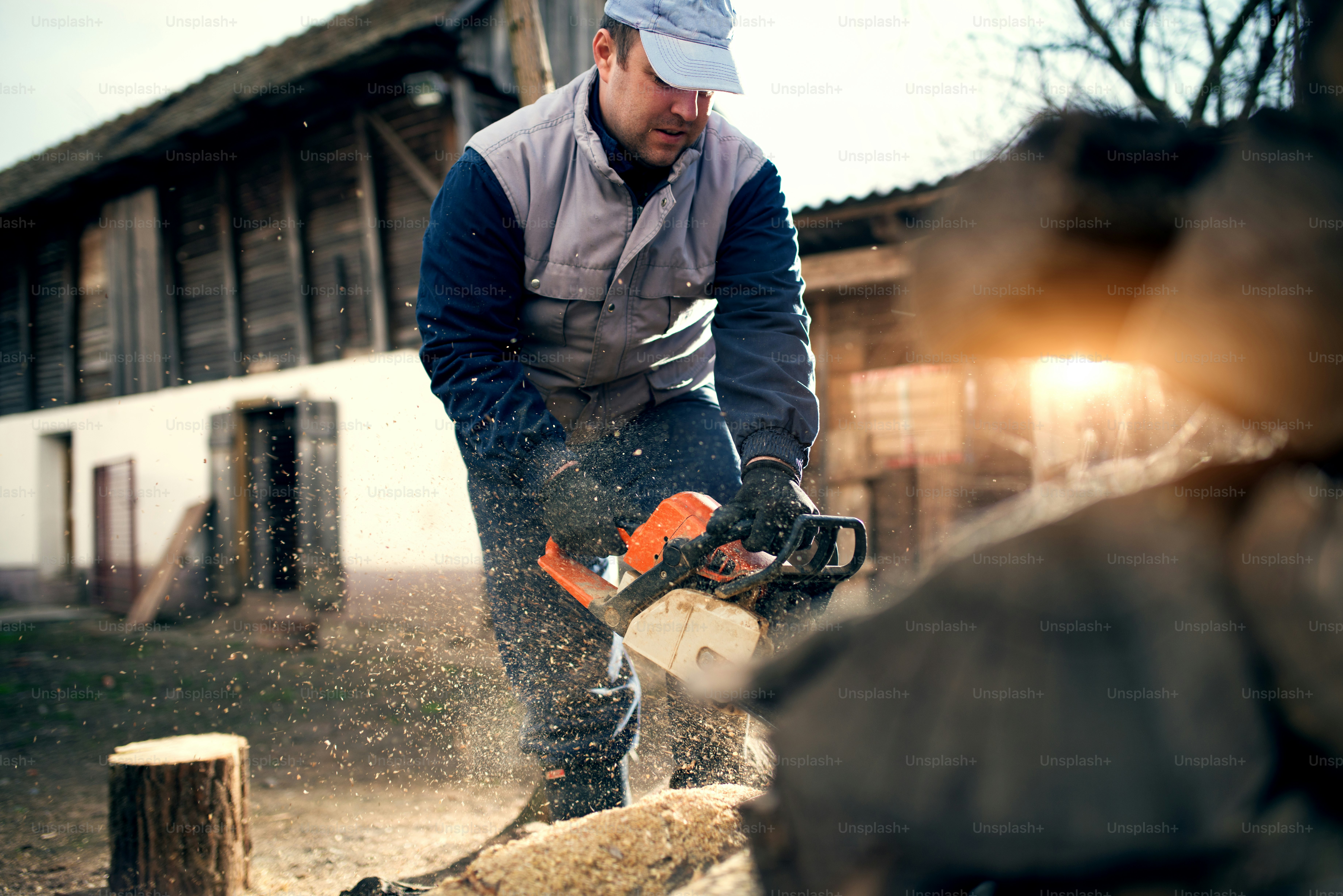 Man cuts a tree with a chainsaw in the backyard.