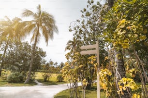 Vista grandangolare del sentiero del resort circondato da palme, prati e altri alberi, con un mock-up di doppio segnavia in legno vuoto sulla destra, per il tuo messaggio di testo; luminosa bella giornata estiva