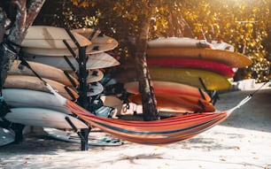 View of a multicolored hammock on a tropical resort stretched over coral sand on the beach between two trees with plenty of sport surfing boards around it of different vivid colors on the shelves
