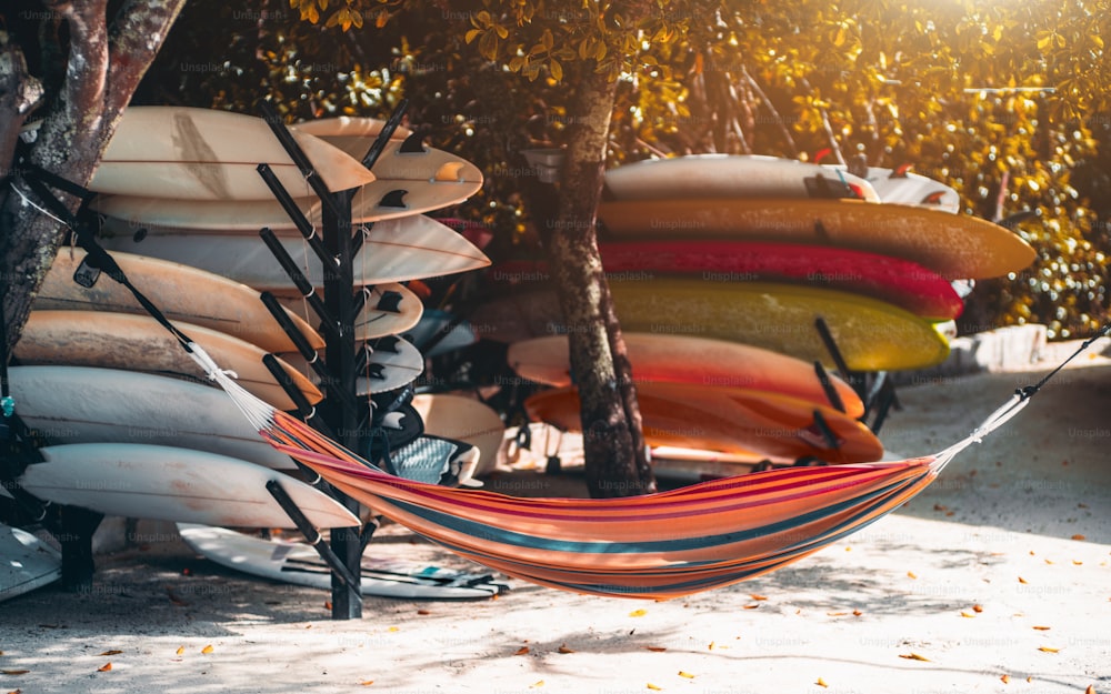 View of a multicolored hammock on a tropical resort stretched over coral sand on the beach between two trees with plenty of sport surfing boards around it of different vivid colors on the shelves