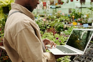 Gros plan d’un employé d’un magasin de fleurs utilisant un ordinateur portable pour contrôler la croissance des plantes dans la serre