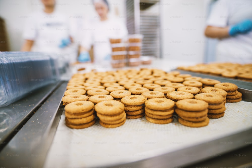 Fábrica de biscoitos, indústria alimentícia. Fabricação. Produção de biscoitos.