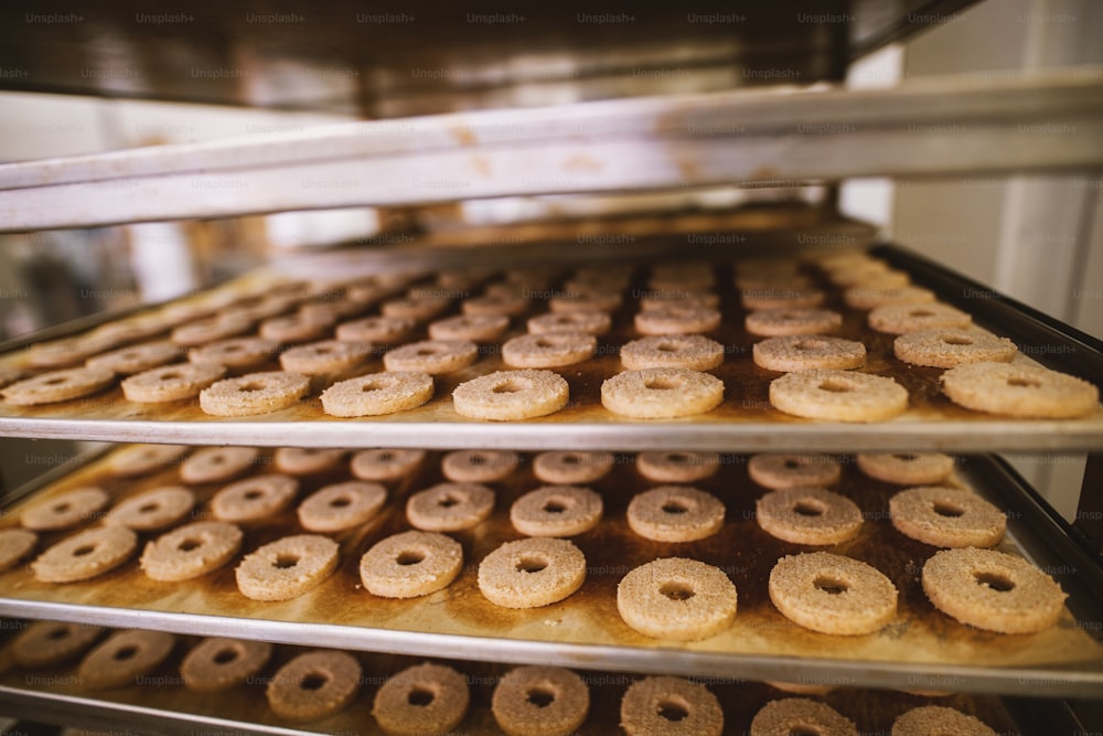 Fábrica de galletas, industria alimentaria. Embalaje de fabricación. Producción de galletas.