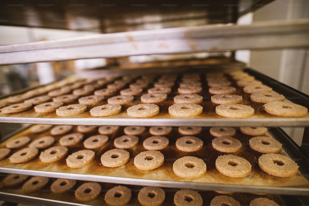 Fabbrica di biscotti, industria alimentare. Imballaggio di fabbricazione. Produzione di biscotti.