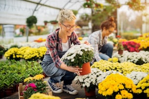 Cheerful cute florist women sorting flowers pots with her female colleague in the greenhouse.