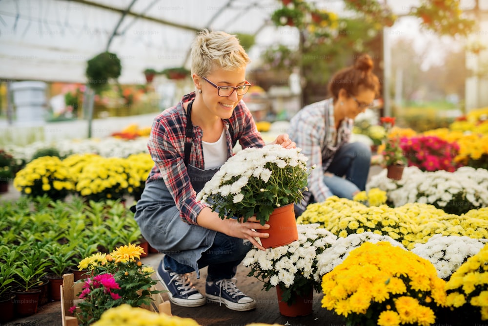 温室で同僚の女性と植木鉢を選別する陽気でかわいい花屋の女性。