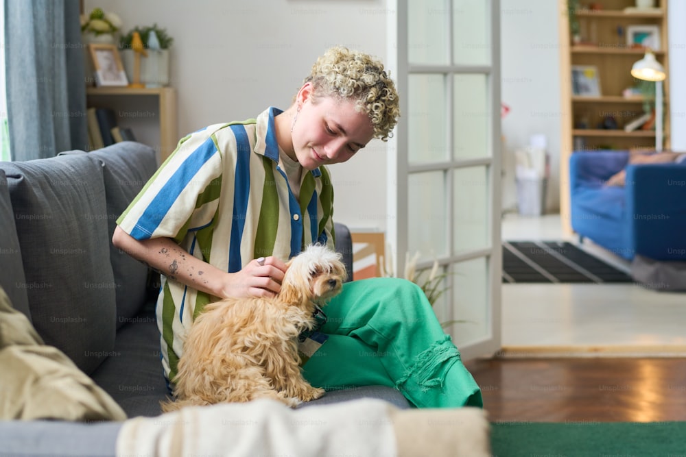 Happy young blond curly female in casualwear playing with her cute fluffy purebred pet while sitting on comfortable couch in living room
