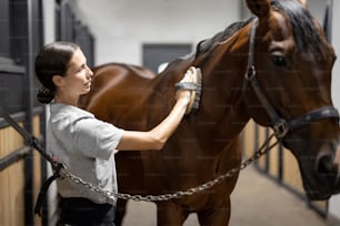 Female horseman combing her brown Thoroughbred horse in stable. Concept of animal care. Rural rest and leisure. Idea of green tourism. Young smiling european woman wearing uniform