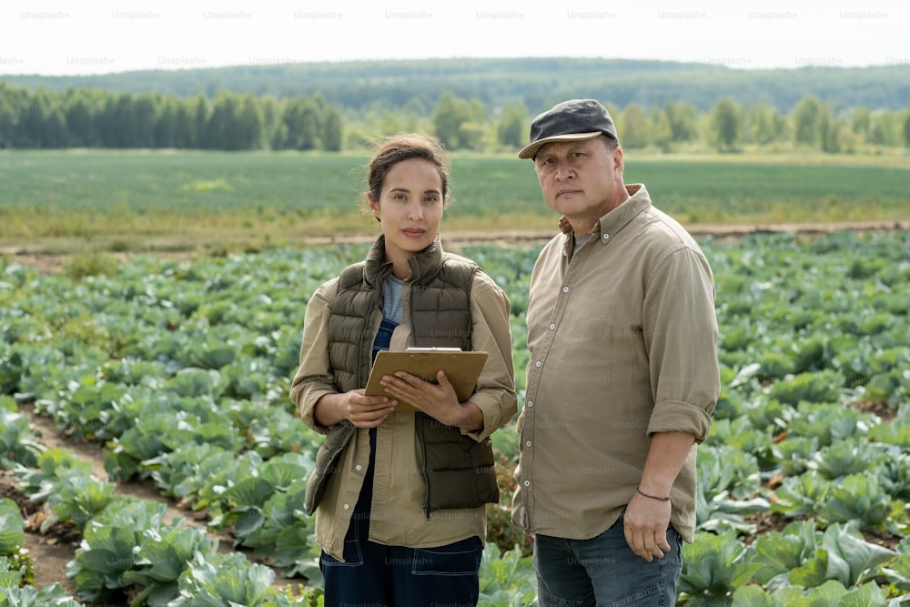 young female farmer with document standing by mature man against field of growing cabbage