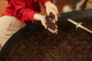 Primer plano de manos sosteniendo granos de café junto a una máquina tostadora de café.