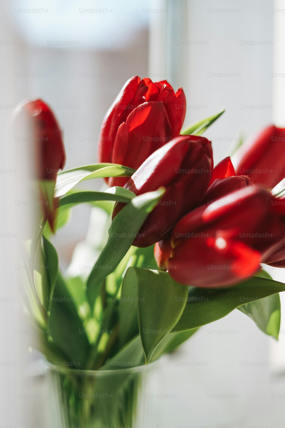 Schöner Strauß roter Tulpen in Vase om Fensterbank am Haus, natürlicher Hintergrund