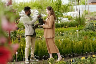 Young woman choosing plant in pot together with landscape designer while they standing outdoor in flower market