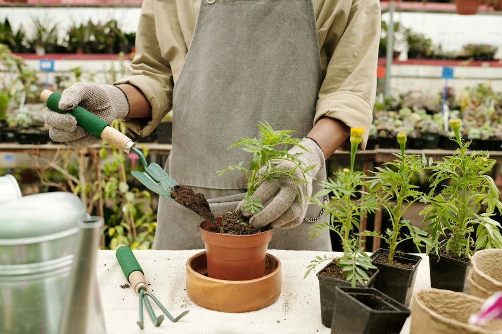 Close-up of gardener in workwear adding soil with shovel in pot while transplanting plant at table