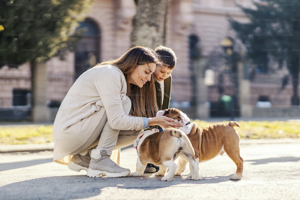 A mother and son petting bulldogs in a park.