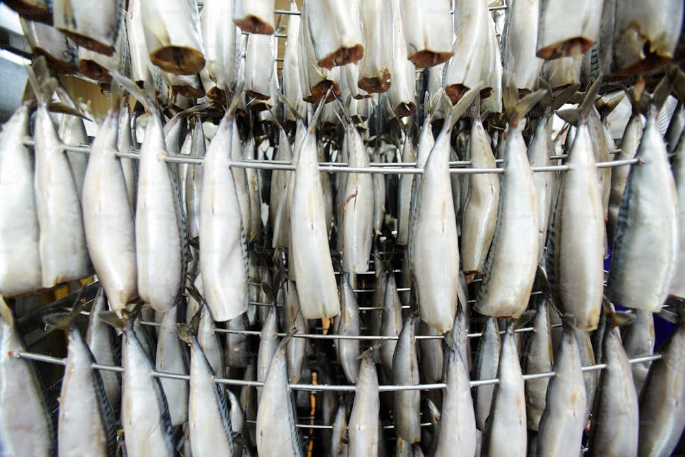 Caballas crudas colgadas de alambres antes del procesamiento del humo en una fábrica de pescado