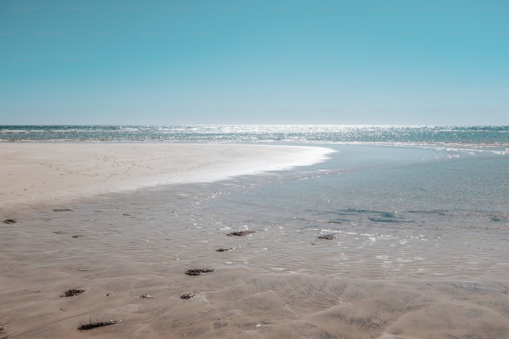 푸른 크리스탈 투명한 바닷물이 있는 태양 아래 열대 여름 해변. 경치 좋은 곳에서 휴가 휴가 여행의 개념