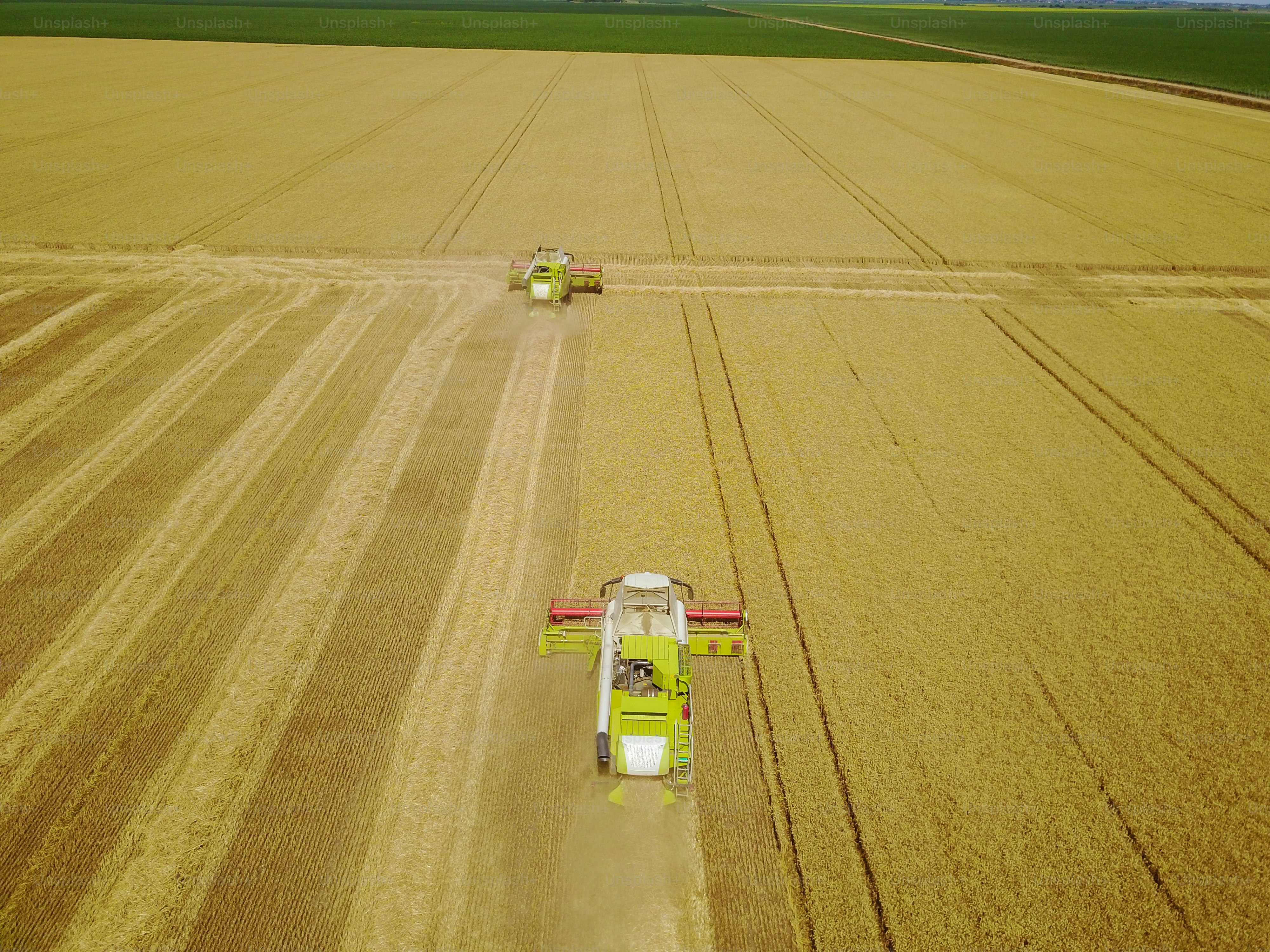 Vue aérienne de moissonneuses jaunes travaillant dans un champ de blé.