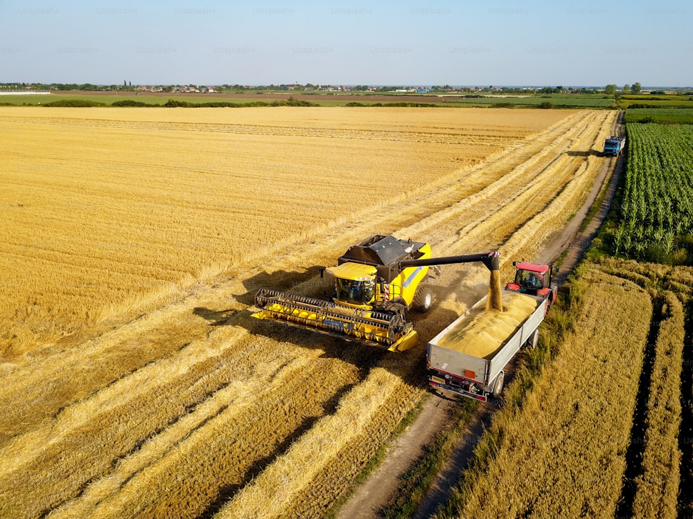 畑のトラクタートレーラーのタンクに小麦を積み込む大型のプロコンバインハーベスターの飛行ドローンからの鳥の目。