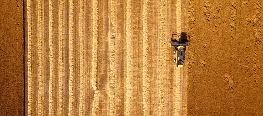 밀밭에서 일하는 노란색 수확기의 공중 촬영.