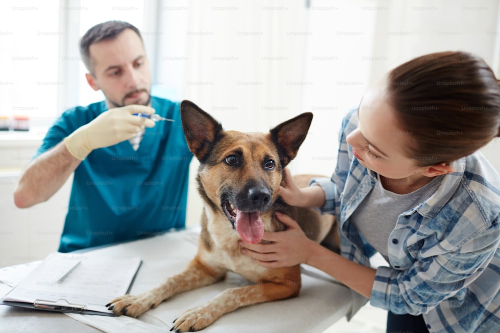 Giovane donna che rimane accanto al suo animale domestico e lo tocca durante l'iniezione nelle cliniche veterinarie