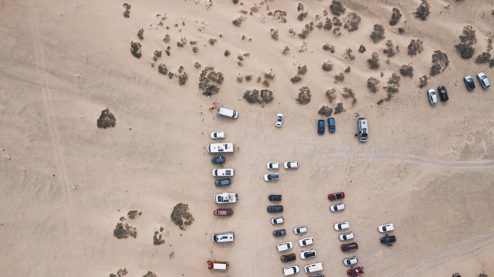 Above vertical view of parking on the ground in freedom nature outdoors park. Cars and vans in campsite at the beach.Concept of transport vehicles and summer holiday vacation