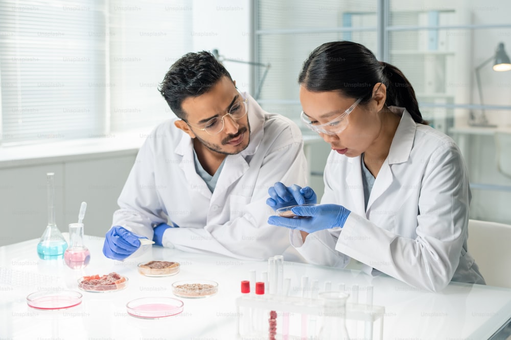 Dos jóvenes investigadores interculturales o clínicos con batas blancas y guantes escudriñando una de las muestras de carne vegetal cruda en el laboratorio