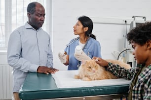 Hispanic vet explaining senior Black man how to treat cat with pills or tablets while boy comforting their pet