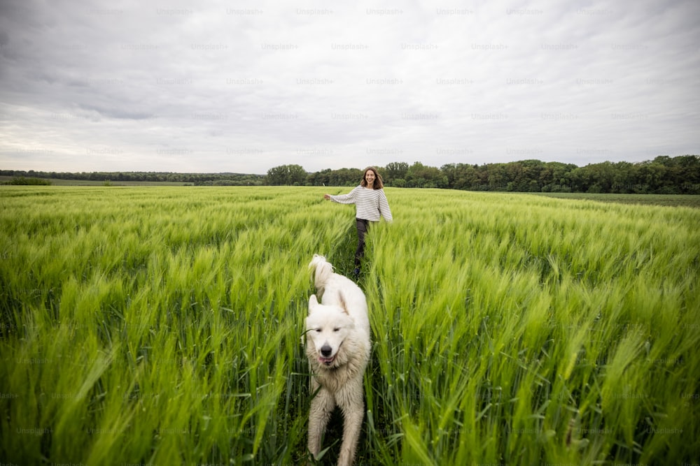 Frau mit großem weißen Schäferhund, der auf grünem Roggenfeld läuft. Landwirtschaft und Landleben. Freiheit und Aktivität. Speicherplatz kopieren.