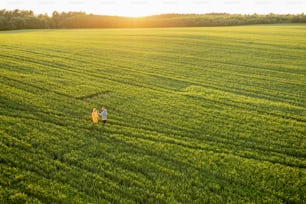 Aerial view on green wheat field with couple walking on pathway on sunset. People enjoy nature on farmland. Wide landscape with copy space