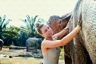 Smiling woman giving a large Asian elephant a mud bath in a river at an animal sanctuary in Thailand