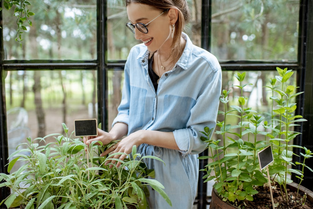 Young woman taking care of plants, growing herbs and flowers in the beautiful greenhouse or flower shop