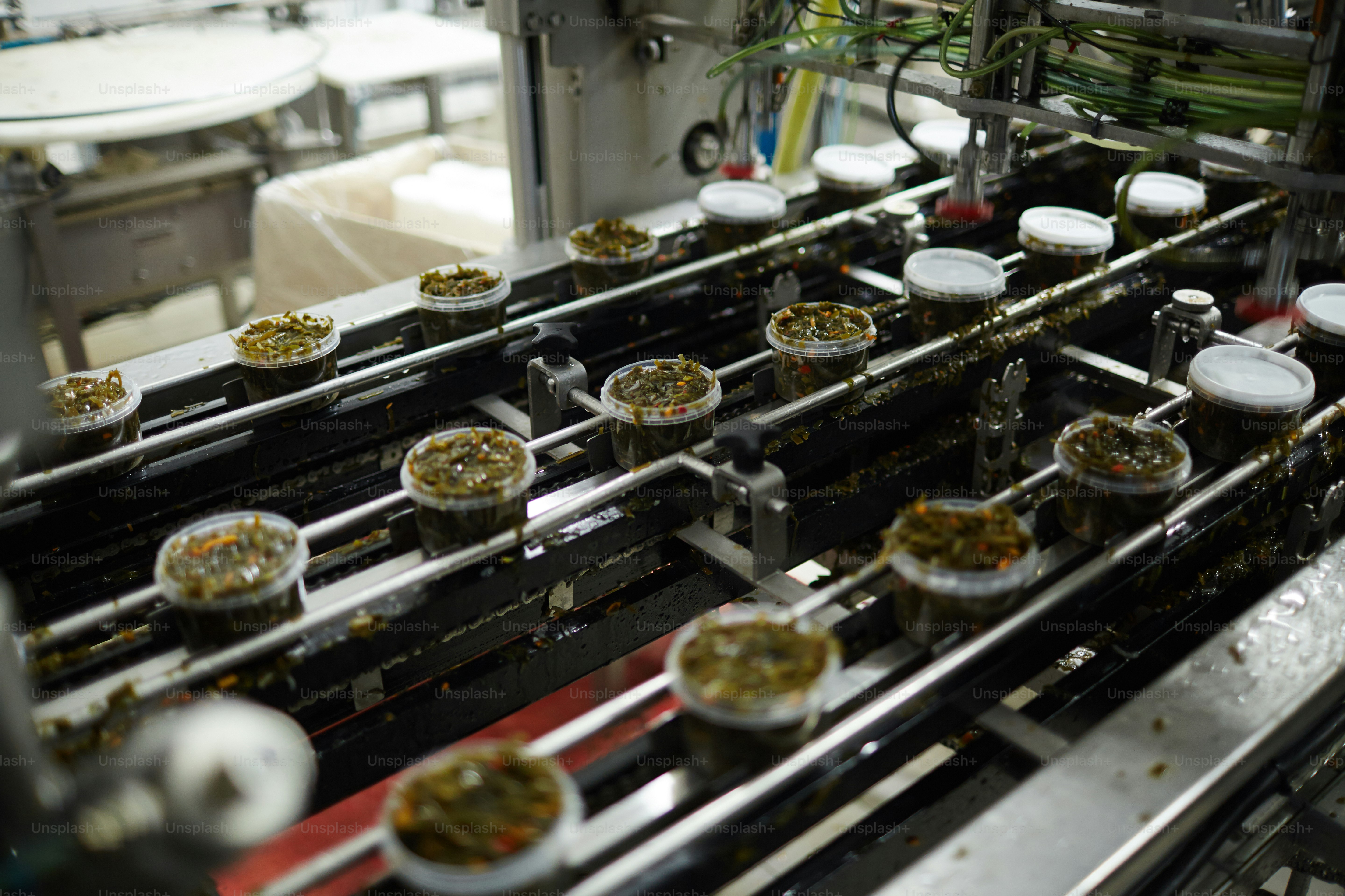 Plastic containers with cooked seaweed salad moving on producing-line