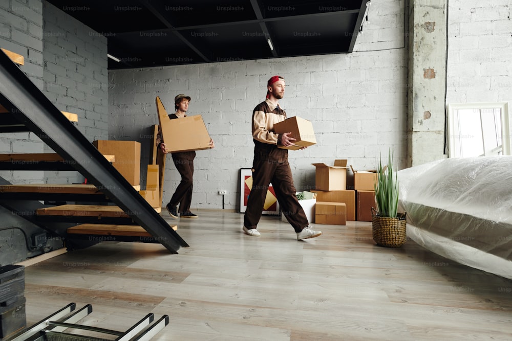 Two young loaders in workwear entering large room or studio and carrying packed cardboard boxes while helping to deliver packages