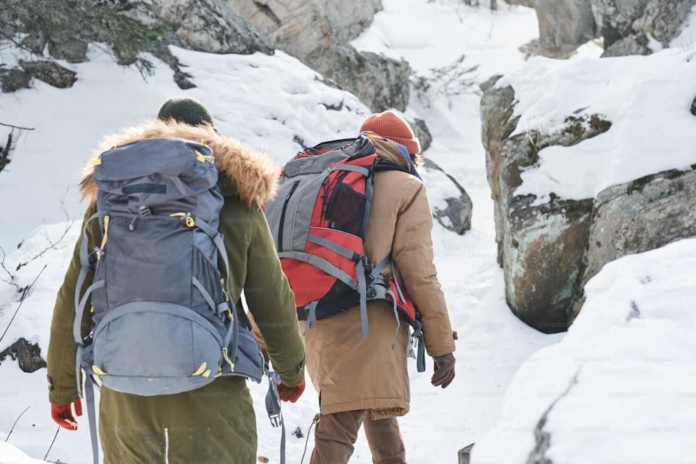 Vista traseira de jovens irreconhecíveis vestindo roupas quentes e mochilas caminhando nas montanhas no dia de inverno
