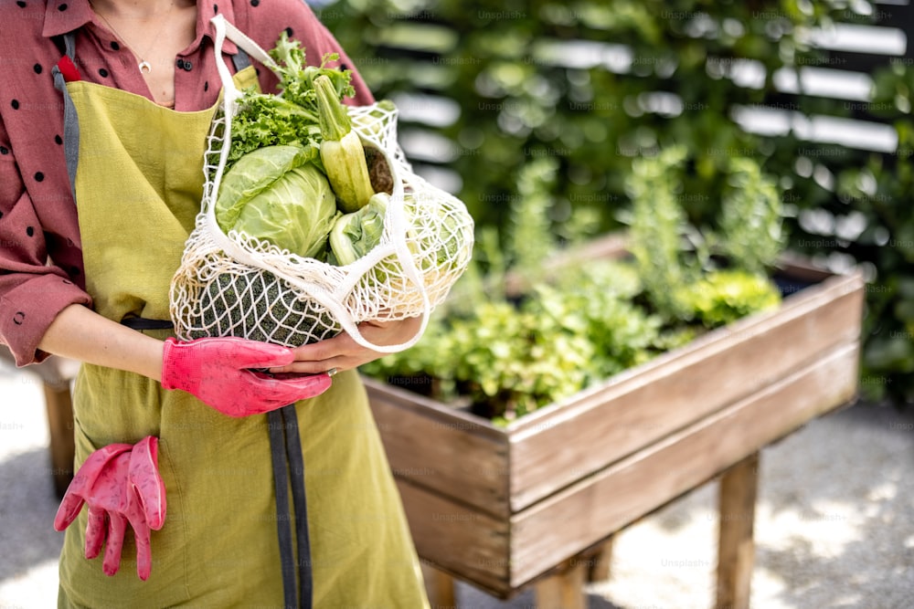 Donna che tiene una borsa a rete piena di verdure fresche e verdure nel giardino di casa, vista ritagliata. Concetto di sostenibilità e cibo biologico coltivato in casa