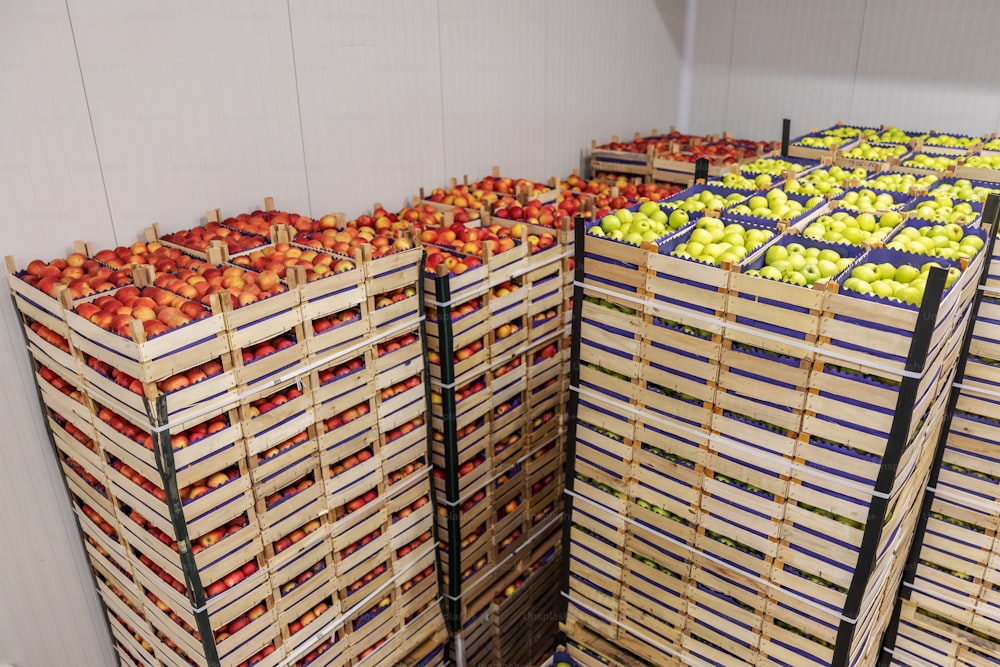 Fruits en caisses prêts à être expédiés. Intérieur de l’entrepôt frigorifique.