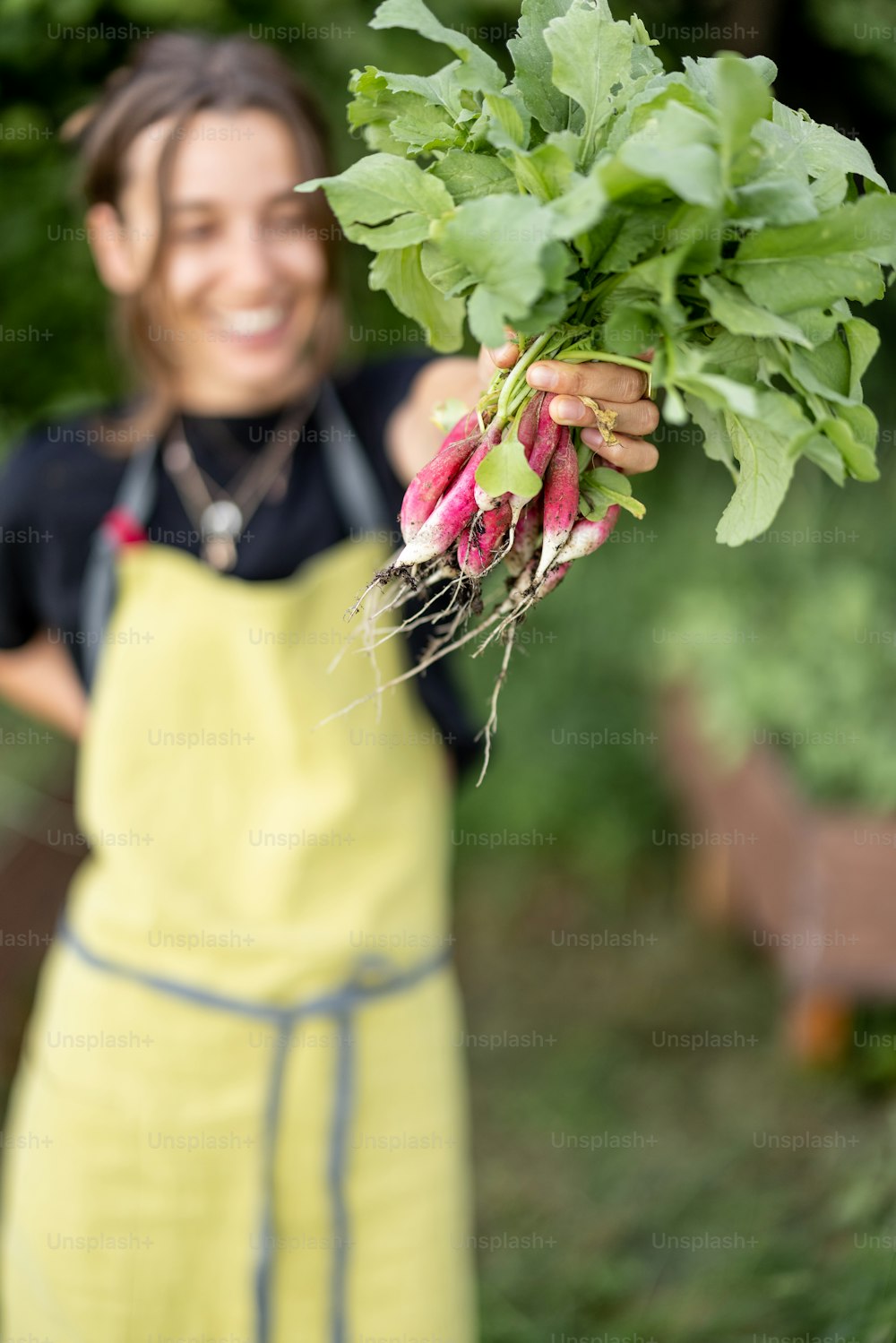 Woman holding fresh radish in hands from home urban garden. Healthy organic food, vegetables, harvest. Sustainable farming. Focus on radish.