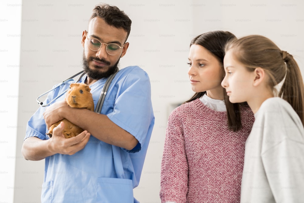 獣医の手にある茶色のモルモットを見ている若い女性と幼い娘