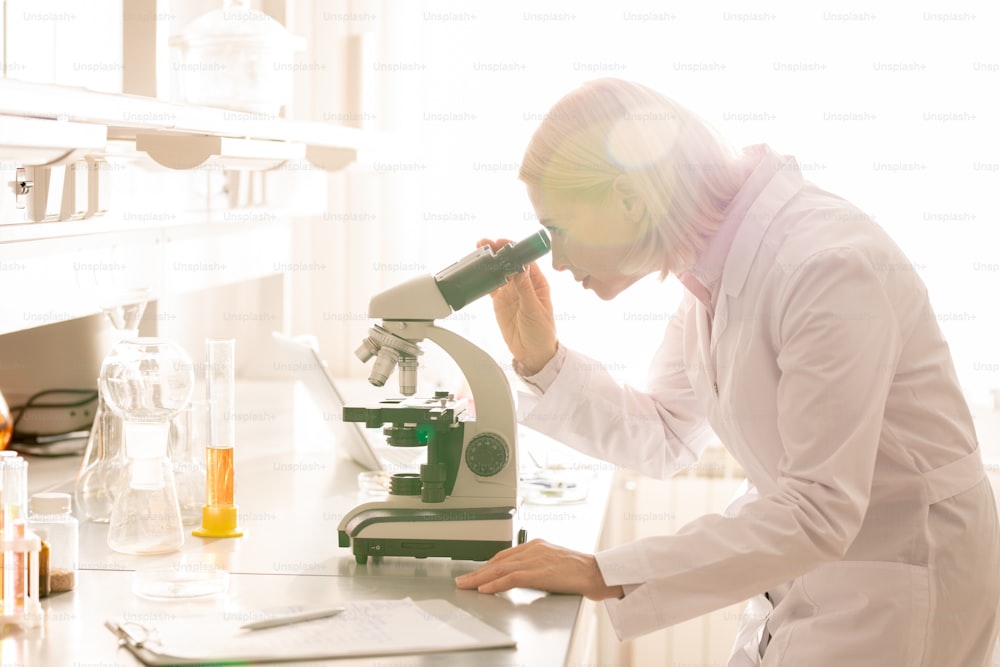 Serious busy mature lady with blond hair standing at lab bench and using microscope while studying sample in chemistry laboratory
